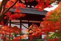 永一山东福禅寺