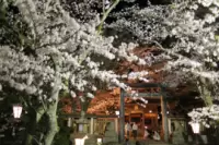 金崎宮（かねがさきぐう）　花換まつり