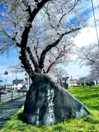 新町北公園