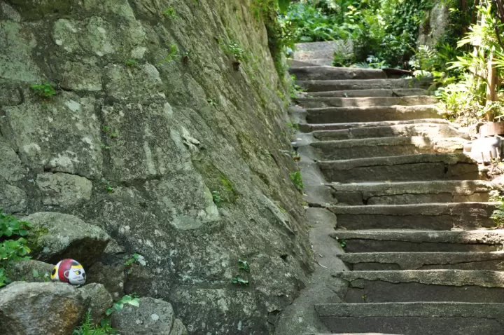 Cat Trail
